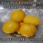 lemon in the garbage disposal
